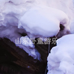 燃油推雪機(jī)